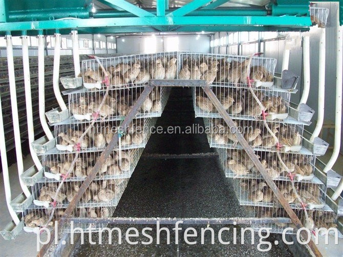 5 poziomów 144 Kurczak Easy Clean Industrial Backyard Chicken Cage Cage House